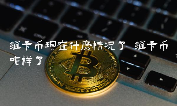 维卡币现在什么情况了