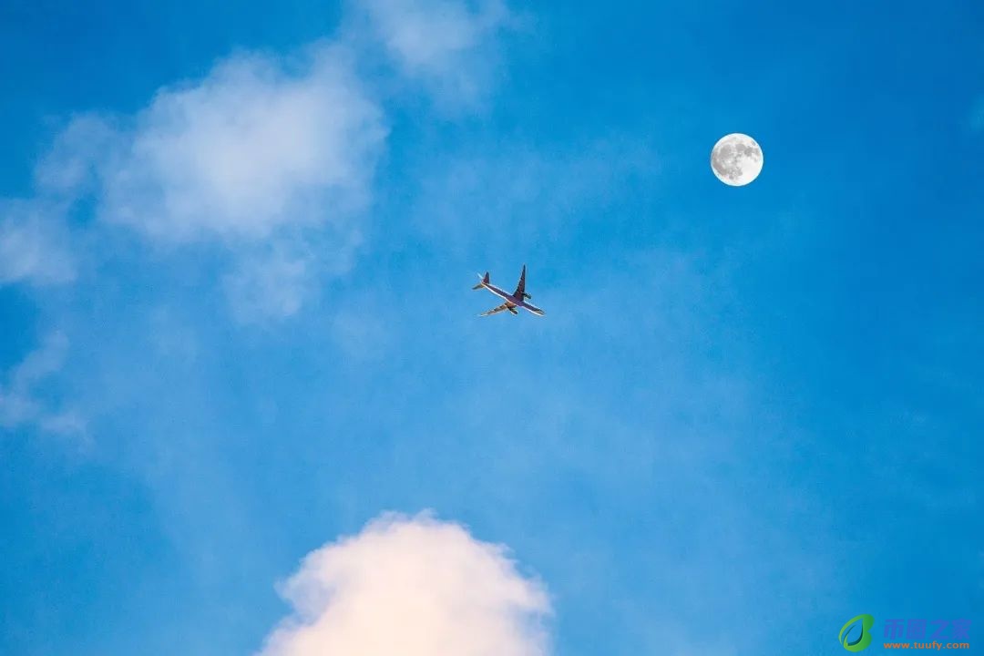 月光的唯美的诗句（月光的唯美的描写）