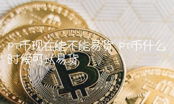 pi币什么时候可以易货