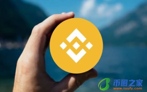 以太坊的发行总量(以太坊总量是多少枚)