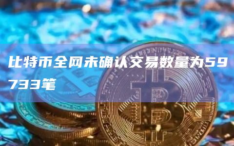 比特币全网未确认交易数量为59733笔