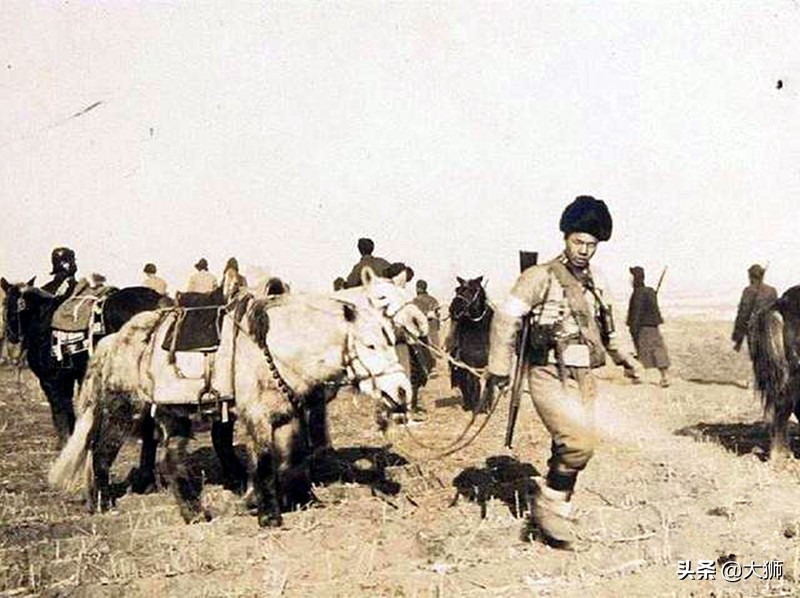 熬鹰女孩是什么梗