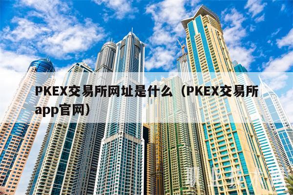PKEX交易所网址是什么（PKEX交易所app官网）
