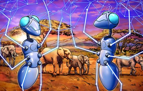 与Bitnob合作 促进进入非洲的跨境支付
