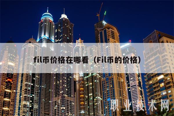 fil币价格在哪看（Fil币的价格）