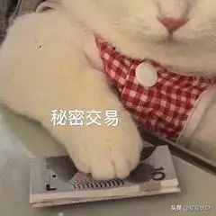 基金投资基金知识全梳理（投资基金知识点汇总）