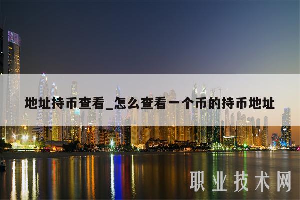地址持币查看_怎么查看一个币的持币地址