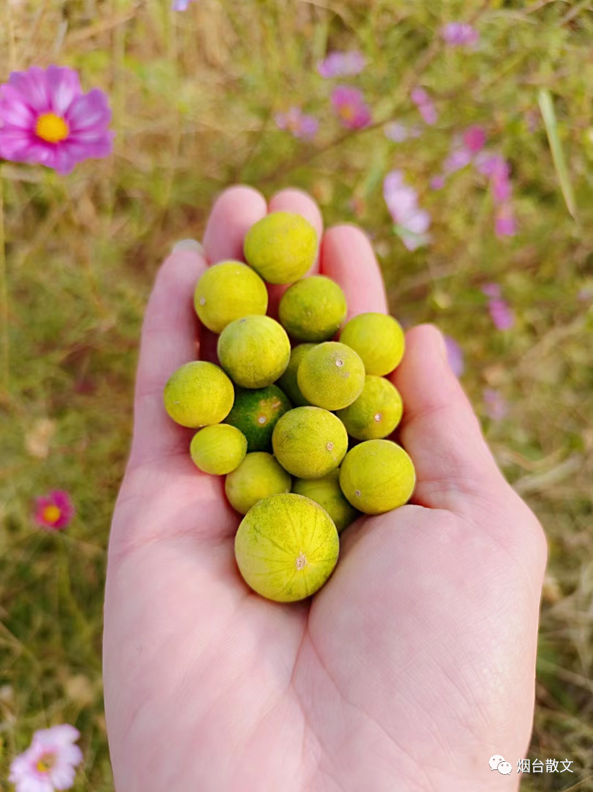 什么地笑填空词语（什么地笑填空词语三个字）