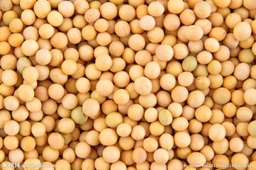 小龙虾喜欢吃什么（哪种龙虾最好吃）