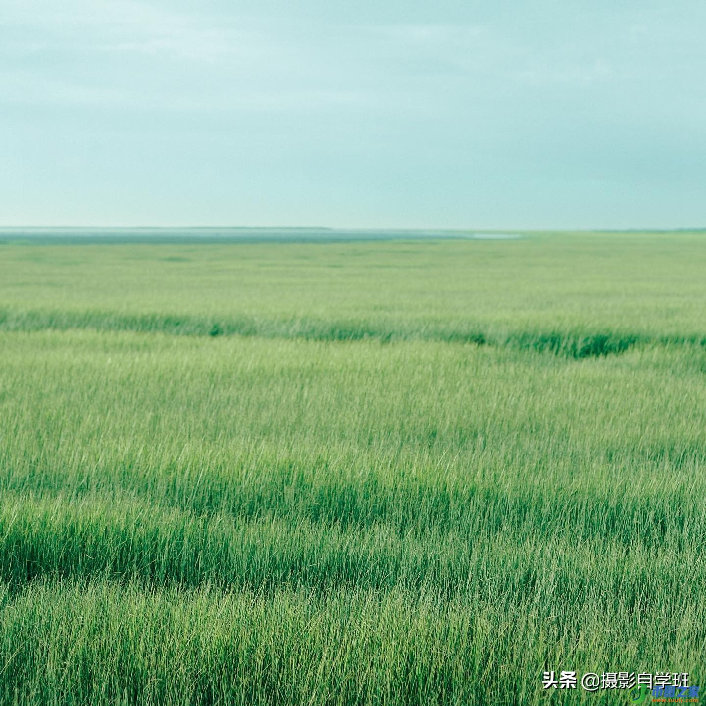 手机下划线怎么打（手机下划线怎么打字加上去）