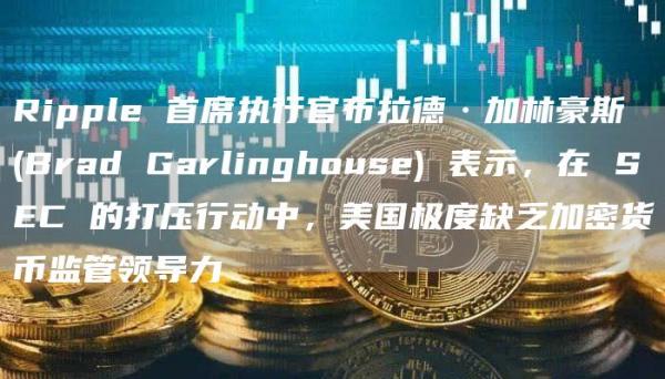 Ripple 首席执行官布拉德·加林豪斯 (Brad Garlinghouse) 表示，在 SEC 的打压行动中，美国极度缺乏加密货币监管领导力