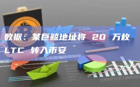 数据：某巨鲸地址将 20 万枚 LTC 转入币安