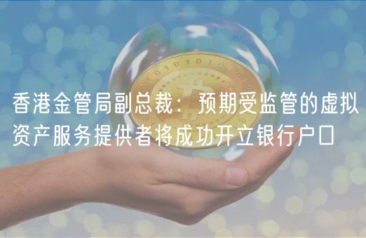 香港金管局副总裁:预期受监管的虚拟资产服务提供者将成功开立银行户口插图 香港金管局副总裁:预期受监管的虚拟资产服务提供者将成功开立银行户口