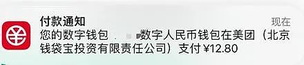 E-CNY时代来临：当你的工资成为数字人民币