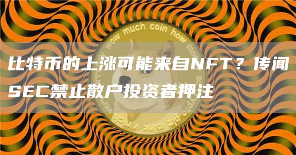 比特币的上涨可能来自NFT？传闻SEC禁止散户投资者押注