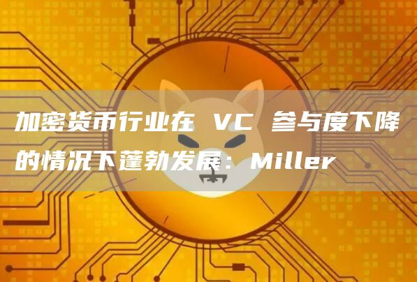 加密货币行业在 VC 参与度下降的情况下蓬勃发展：Miller