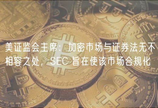 美证监会主席：加密市场与证券法无不相容之处，SEC 旨在使该市场合规化