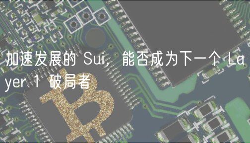 加速发展的 Sui,能否成为下一个 Layer 1 破局者