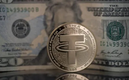 尽管美国政府嗤之以鼻 但USDT的市场份额仍在飙升