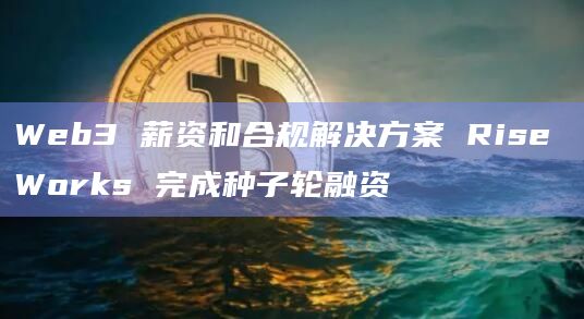 Web3 薪资和合规解决方案 Rise Works 完成种子轮融资