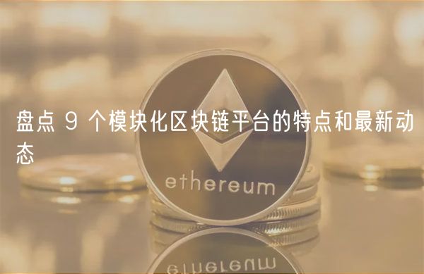 盘点 9 个模块化区块链平台的特点和最新动态