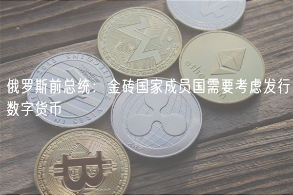 俄罗斯前总统：金砖国家成员国需要考虑发行数字货币