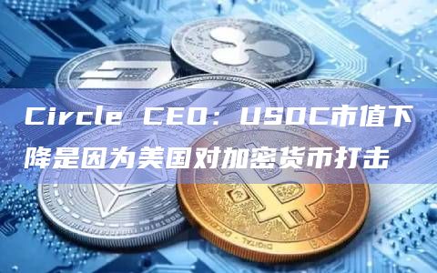 Circle CEO：USDC市值下降是因为美国对加密货币打击