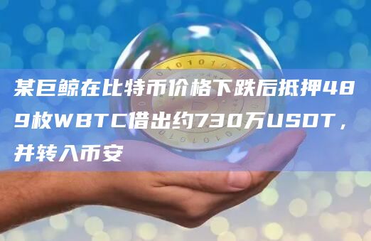 某巨鲸在比特币价格下跌后抵押489枚WBTC借出约730万USDT，并转入币安