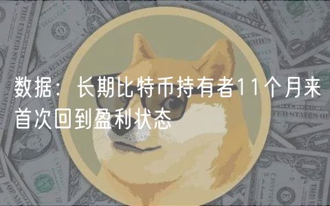 数据：长期比特币持有者11个月来首次回到盈利状态