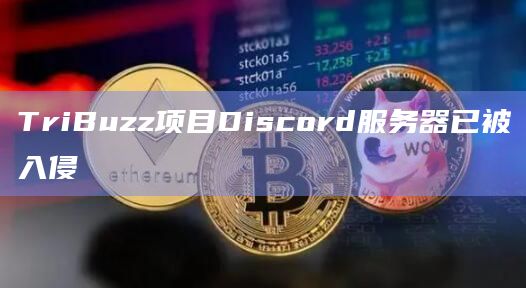 TriBuzz项目Discord服务器已被入侵