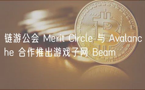 链游公会 Merit Circle 与 Avalanche 合作推出游戏子网 Beam