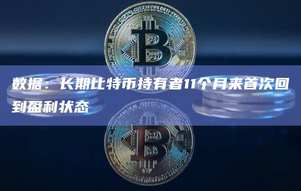 数据：长期比特币持有者11个月来首次回到盈利状态
