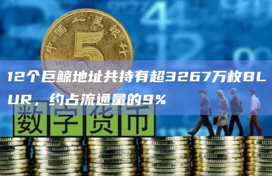 12个巨鲸地址共持有超3267万枚BLUR,约占流通量的9% 12个巨鲸地址共持有超3267万枚BLUR,约占流通量的9%