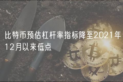 比特币预估杠杆率指标降至2021年12月以来低点