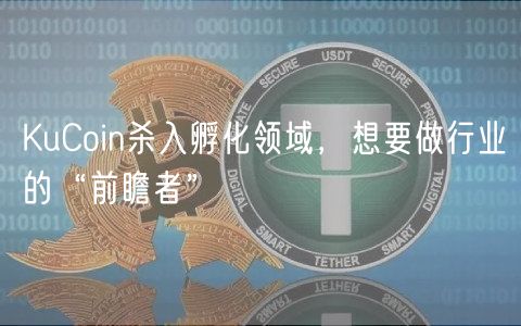 KuCoin杀入孵化领域，想要做行业的“前瞻者”