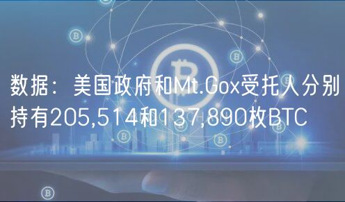 数据：美国政府和Mt.Gox受托人分别持有205,514和137,890枚BTC