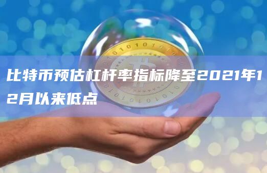比特币预估杠杆率指标降至2021年12月以来低点