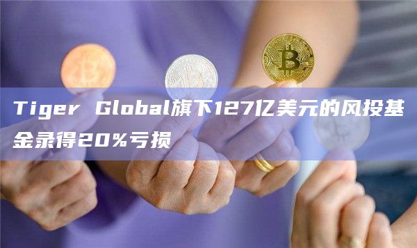 Tiger Global旗下127亿美元的风投基金录得20%亏损