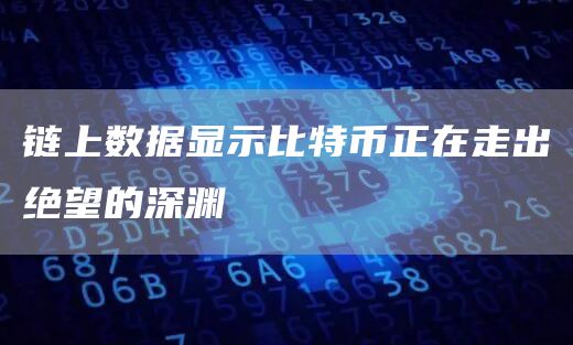 链上数据显示比特币正在走出绝望的深渊