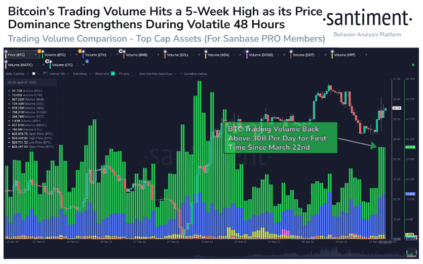 比特币交易量飙升，而山寨币兴趣保持低位