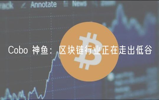 Cobo 神鱼：区块链行业正在走出低谷