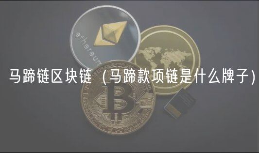 马蹄链区块链（马蹄款项链是什么牌子）