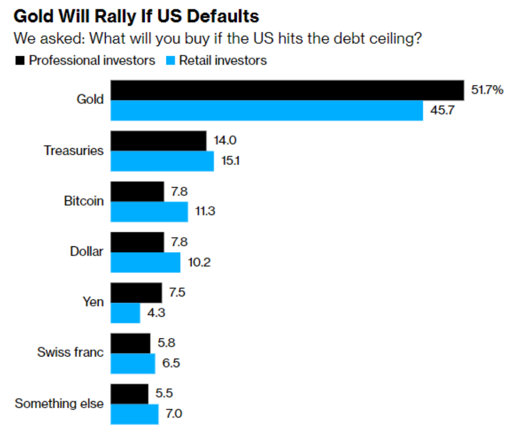 彭博：若美债违约 黄金、美债、比特币将是前3大避险资产