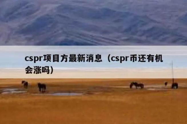 CSPR币能买吗（cspr币未来前景）