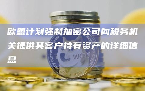 欧盟计划强制加密公司向税务机关提供其客户持有资产的详细信息
