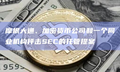 摩根大通、加密货币公司和一个同业机构抨击SEC的托管提案