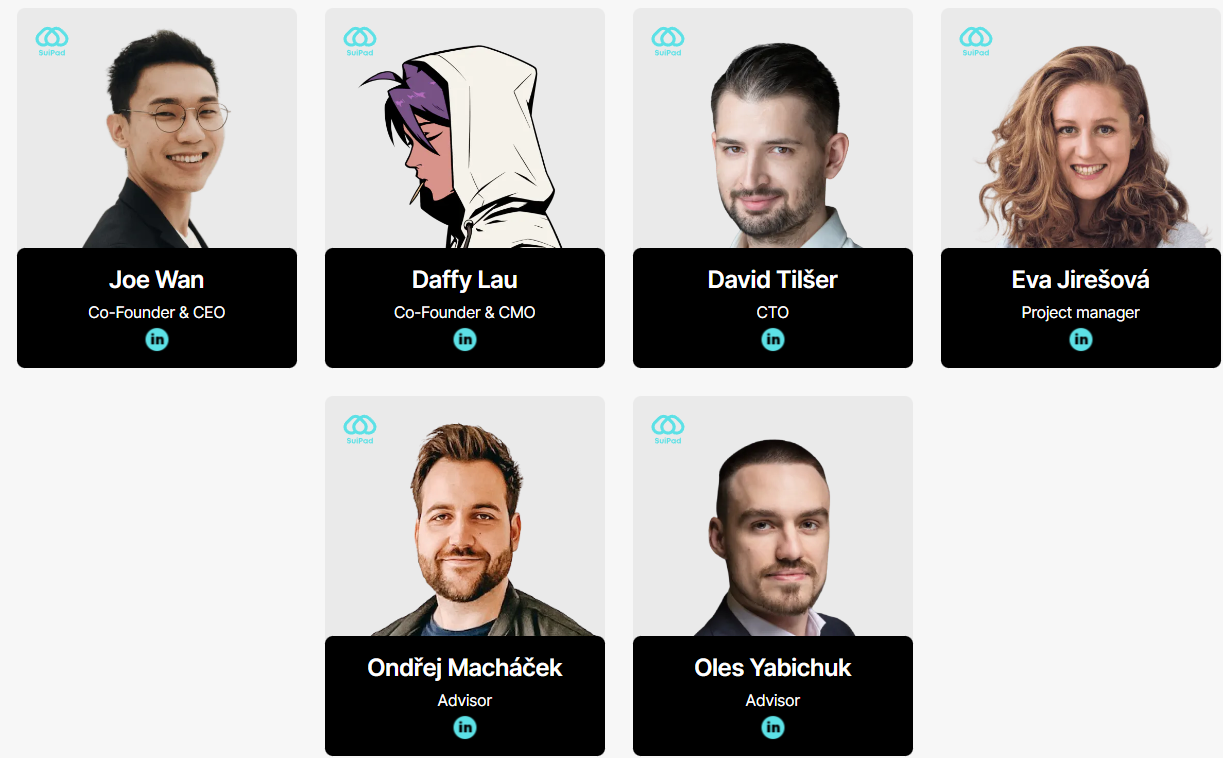 SuiPad深度解析：Sui生态Launchpad一体化解决方案