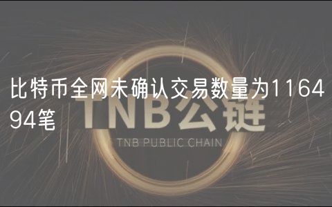 比特币全网未确认交易数量为116494笔