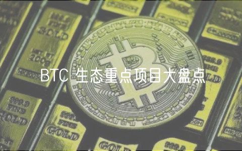 BTC 生态重点项目大盘点