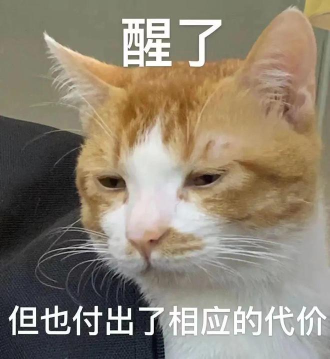 二舅币是什么，二舅币是怎么崩盘的（二舅币崩盘事件起因经过原因详解）